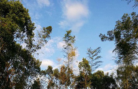 淮北市相山区生态环境局多措并举，空气质量显著提升