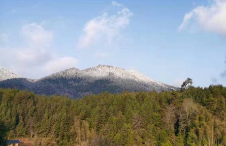 池州市生态环境局加强矿山生态治理，提升绿色矿山建设