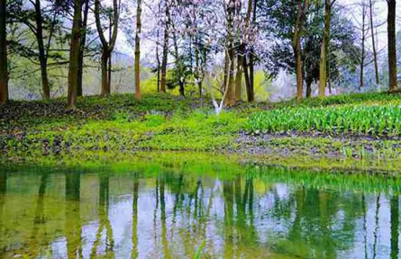 烈山区农村水环境治理成效显著，生态宜居乡村建设持续推进