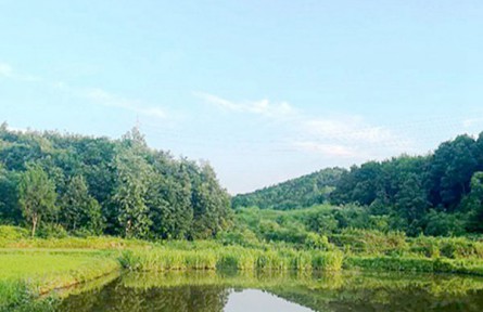 黄山市全域推进EOD项目，生态治理与绿色发展并进