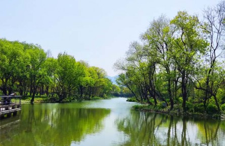 杭州西湖翠苑街道：“多举措”推进治理，河道水质显著改善