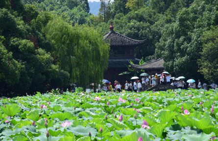 夯实绿色发展生态底色，广州南沙建设“宜业宜居”的滨海生态新城