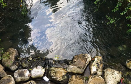 推进城乡生活污水垃圾处理，四川住建厅有“妙招”